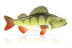 morské plody na pankreatitídu