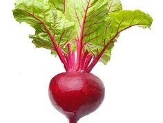 zelenina na pankreatitídu